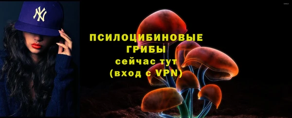 apvp Богданович