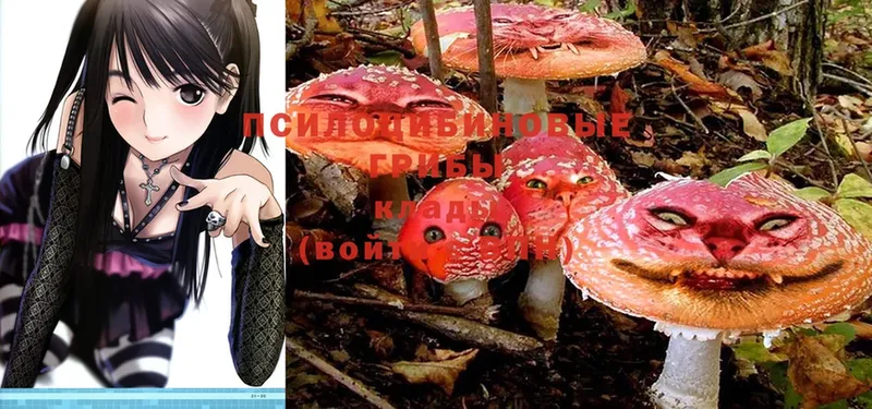 Галлюциногенные грибы Magic Shrooms  где купить   Билибино 